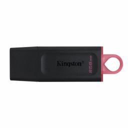 KINGSTON DTX/256GB